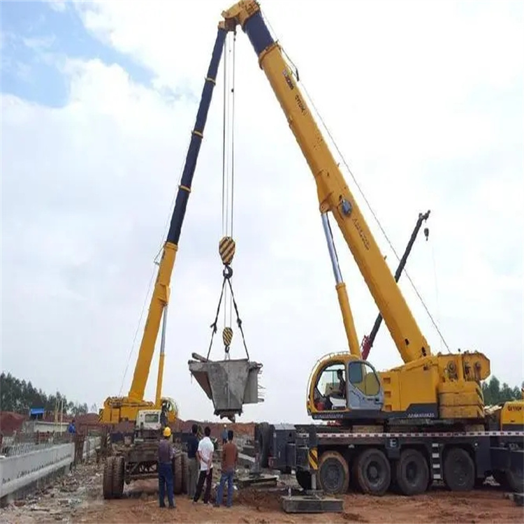 海头镇小型吊机出租电话|厂房设备吊装方案|24小时服务覆盖